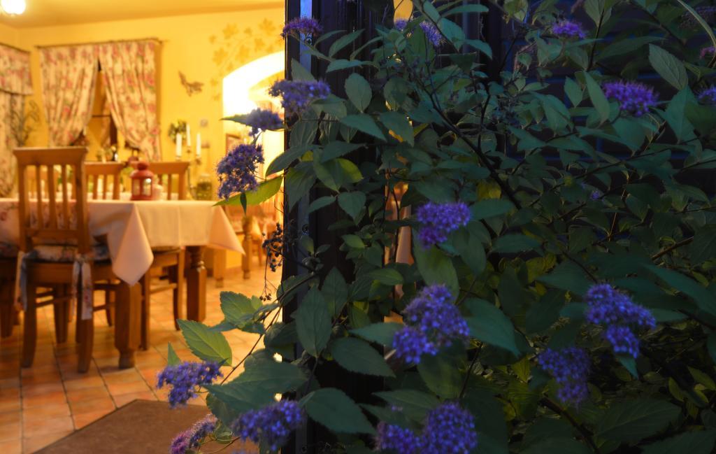 Hotel Magnes Шклярска Поремба Екстериор снимка